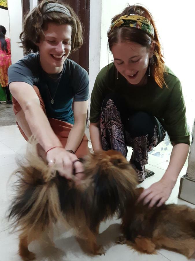 Sukhmani Home Stay Αμριτσάρ Εξωτερικό φωτογραφία